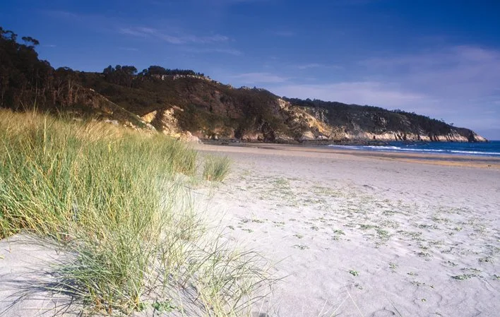 Playa tranquila con arena suave y hierba costera, rodeada de colinas verdes bajo un cielo azul despejado.
