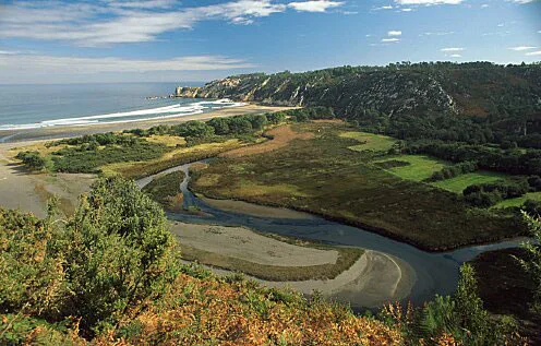 Vista panorámica de un paisaje costero, con un río serpenteante que fluye hacia el mar, rodeado de vegetación y montañas en el fondo. Ideal para explorar la naturaleza y la vida silvestre.