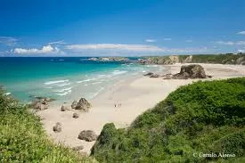 Vista panorámica de una playa con arena clara y aguas turquesas, rodeada de formaciones rocosas y vegetación verde, ideal para disfrutar de un día soleado.