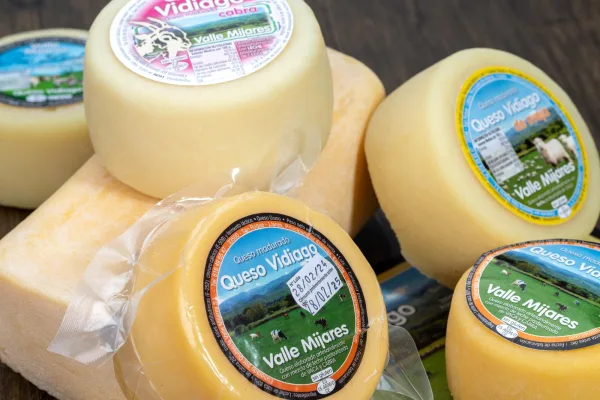 Varios tipos de queso Vidiajo, incluyendo queso de cabra y queso de oveja, con etiquetas que indican su origen en Valle Mijares, sobre una superficie de madera.