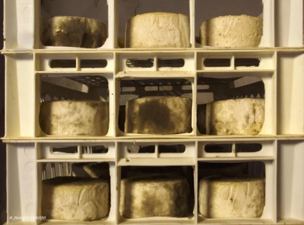 Quesería artesanal asturiana con productos locales de alta calidad en Llanes - Imagen 4